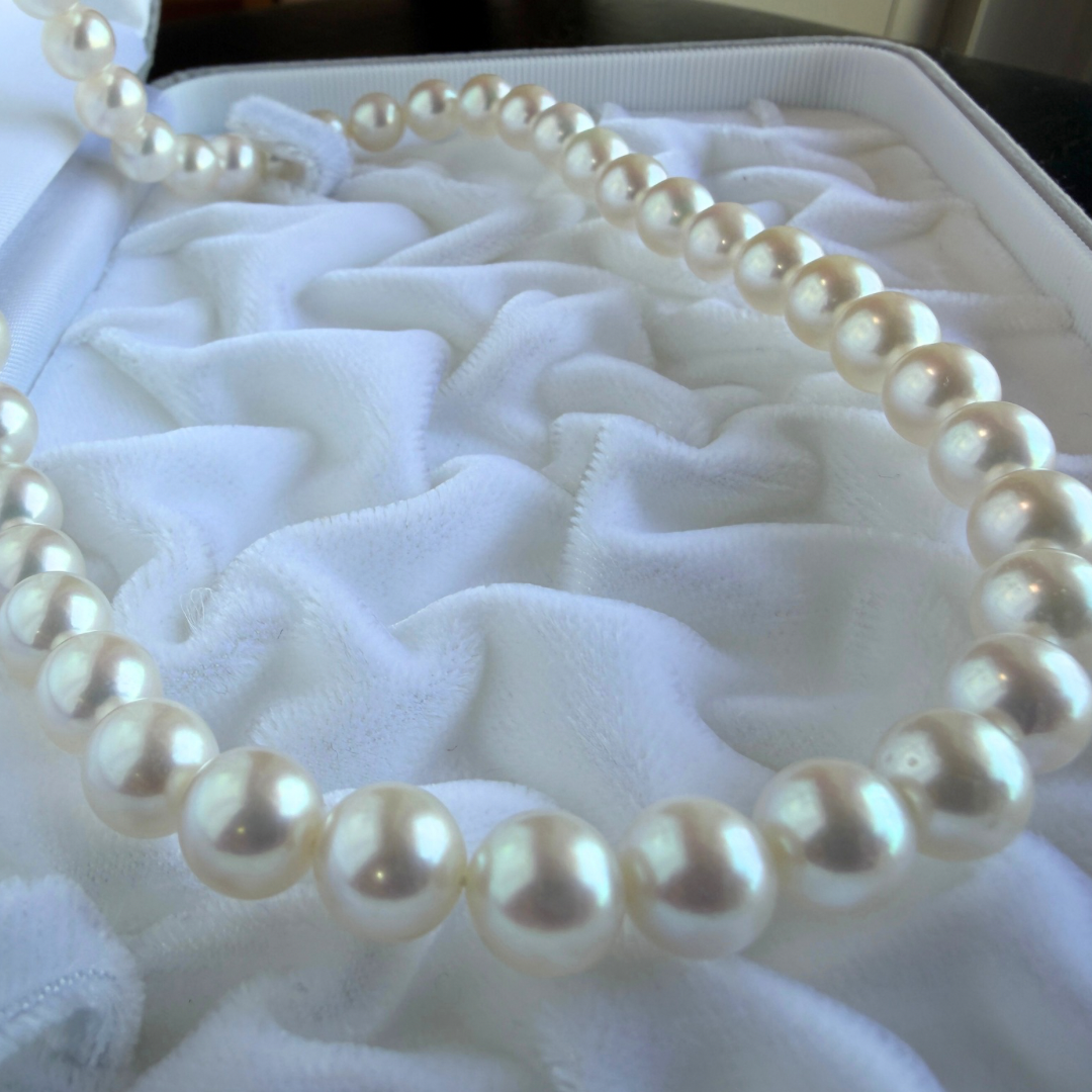 真珠ができるまで