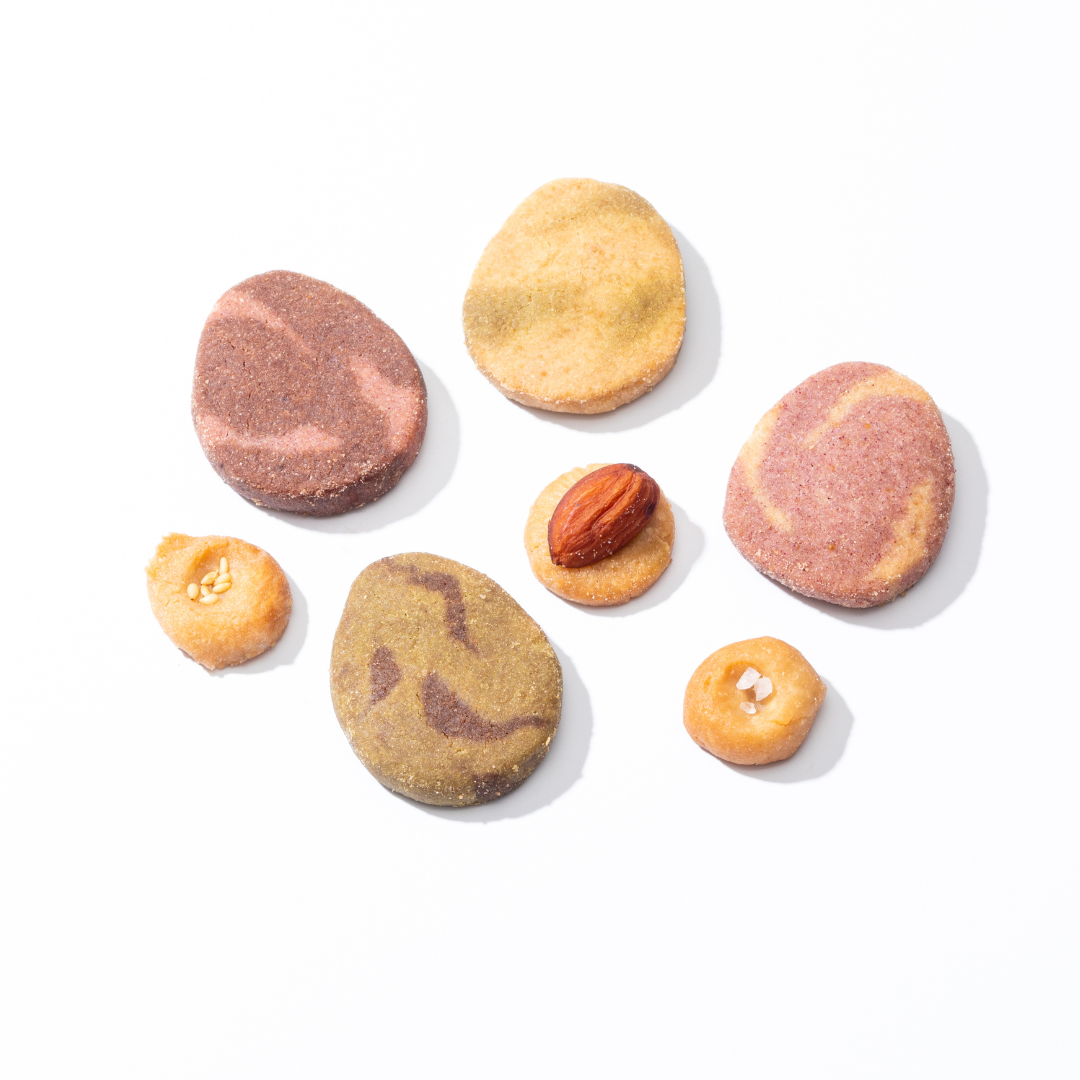 ナチュラサール/グルテンフリークッキー【ふくいDNAキッチン スイーツダイナソー】