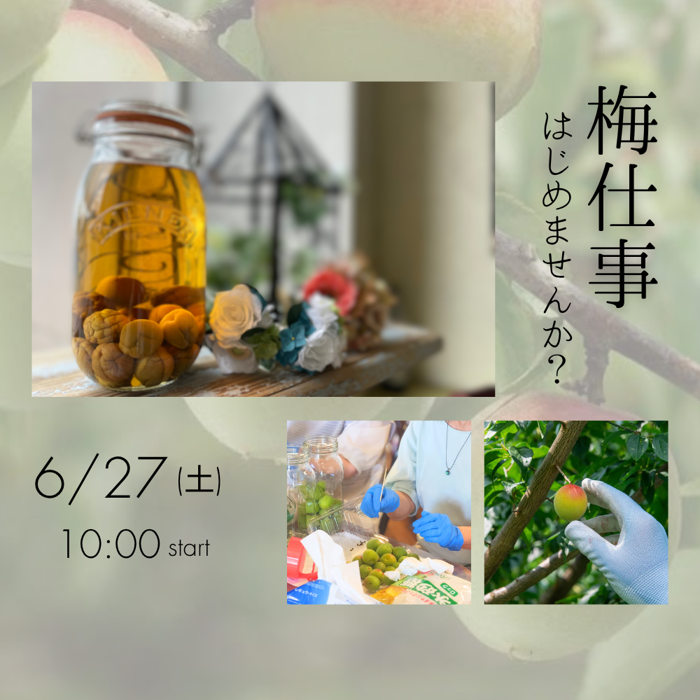 【格別の体験】 梅仕事ワークショップ|2026年6月27日(土) 開催