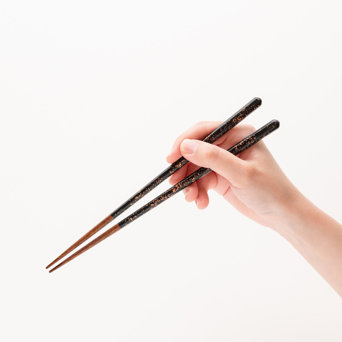 【若狭塗】漆八角金彩 黒