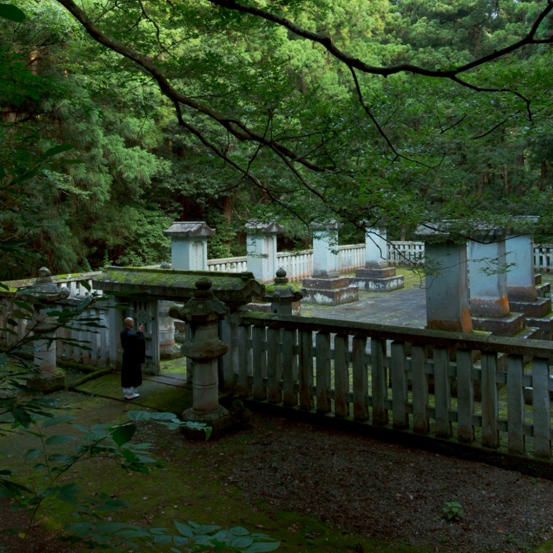 【格別の旅】 大安禅寺 心が整う時間|2026年7月11日(土)開催