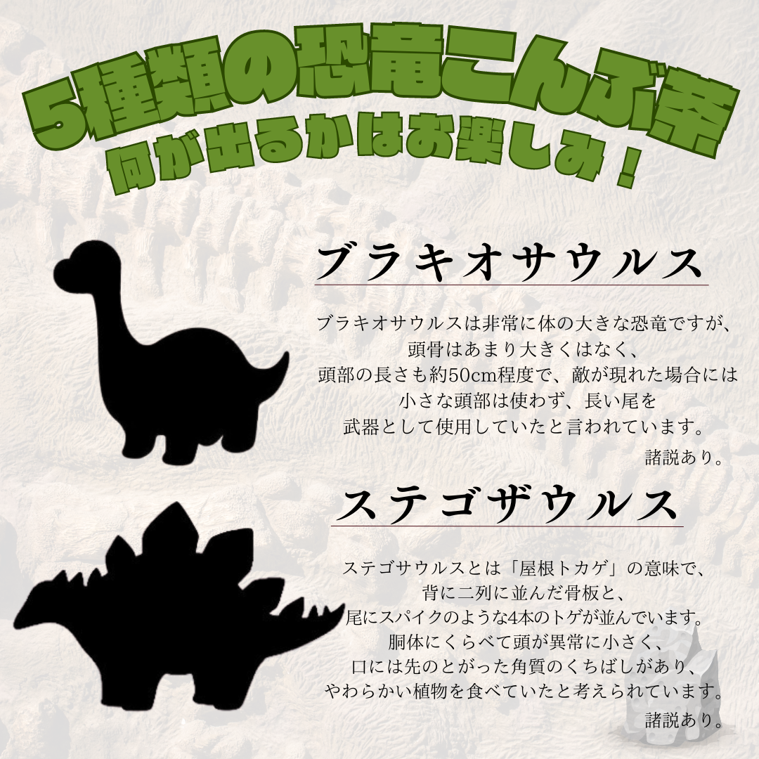 恐竜が茶10個セット