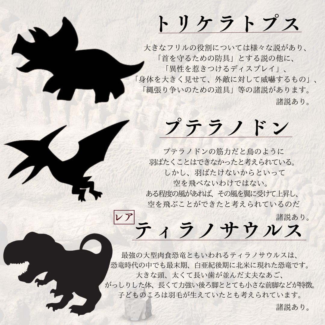 恐竜が茶10個セット