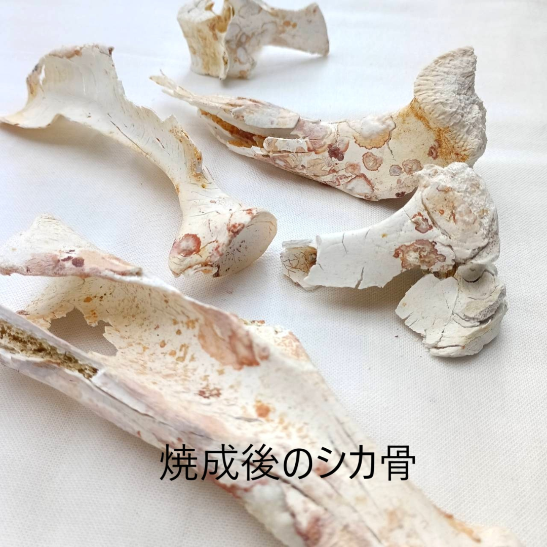 SHIZUKU 漉青イヤリング