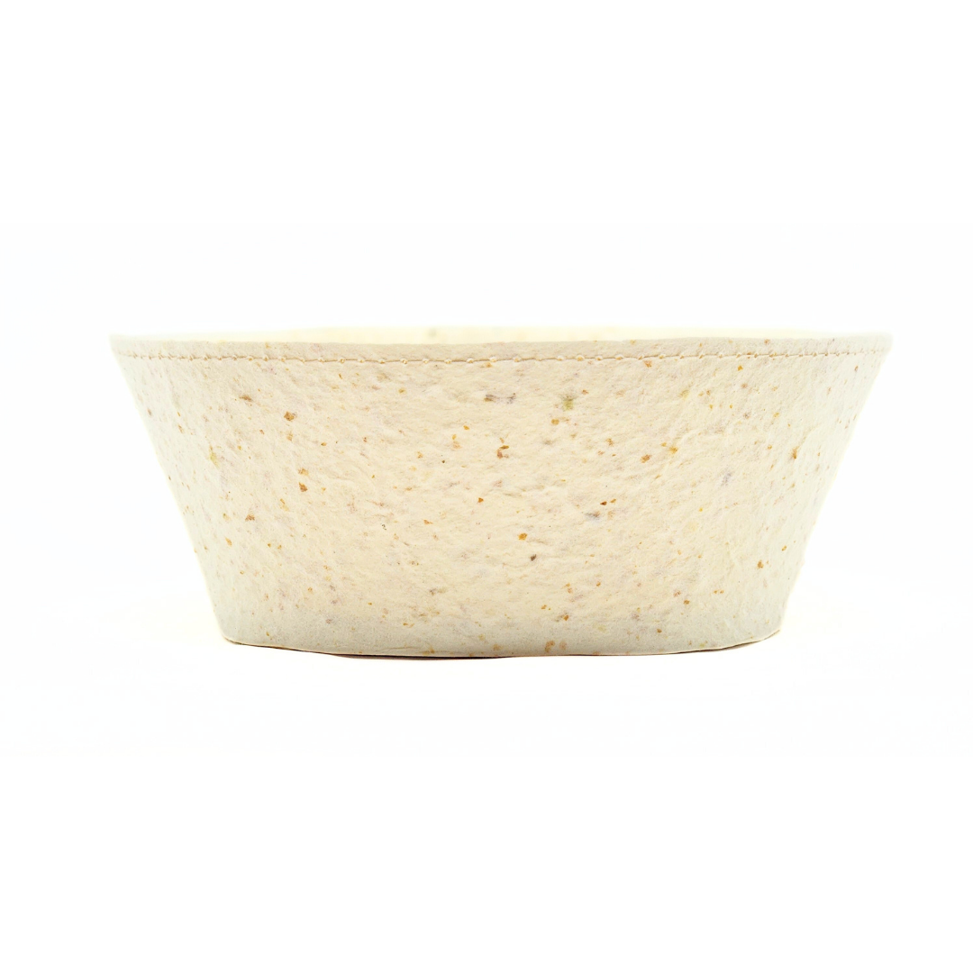 Food Paper -野菜や果物からできた角丸トレイ- みかん