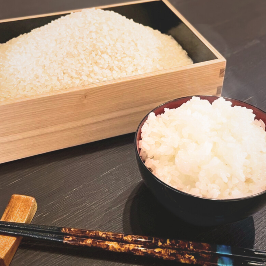 コシヒカリ新米5㎏ 越前白山の恵み