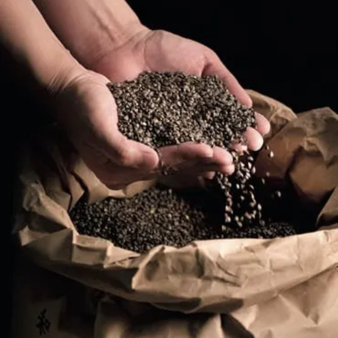 三代目宗近そばセット 8人前つゆ付