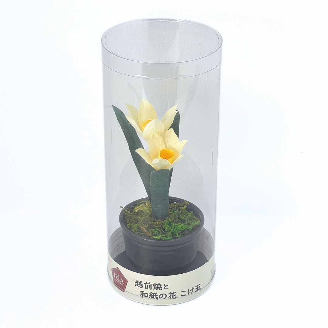 【越前和紙】水仙