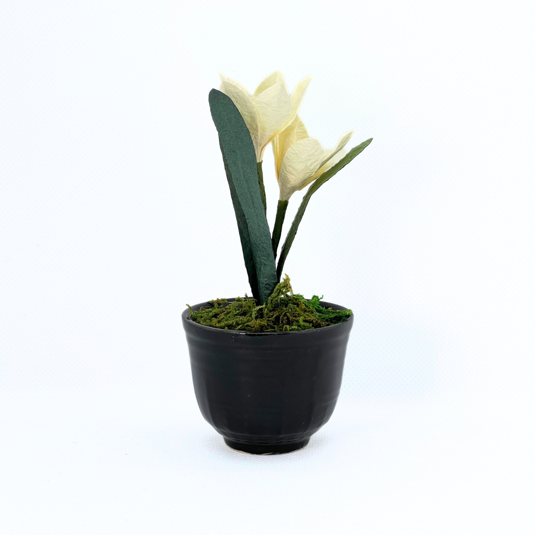 【越前和紙】水仙