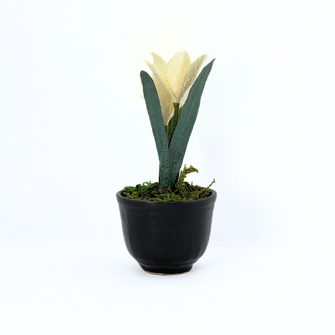 【越前和紙】水仙