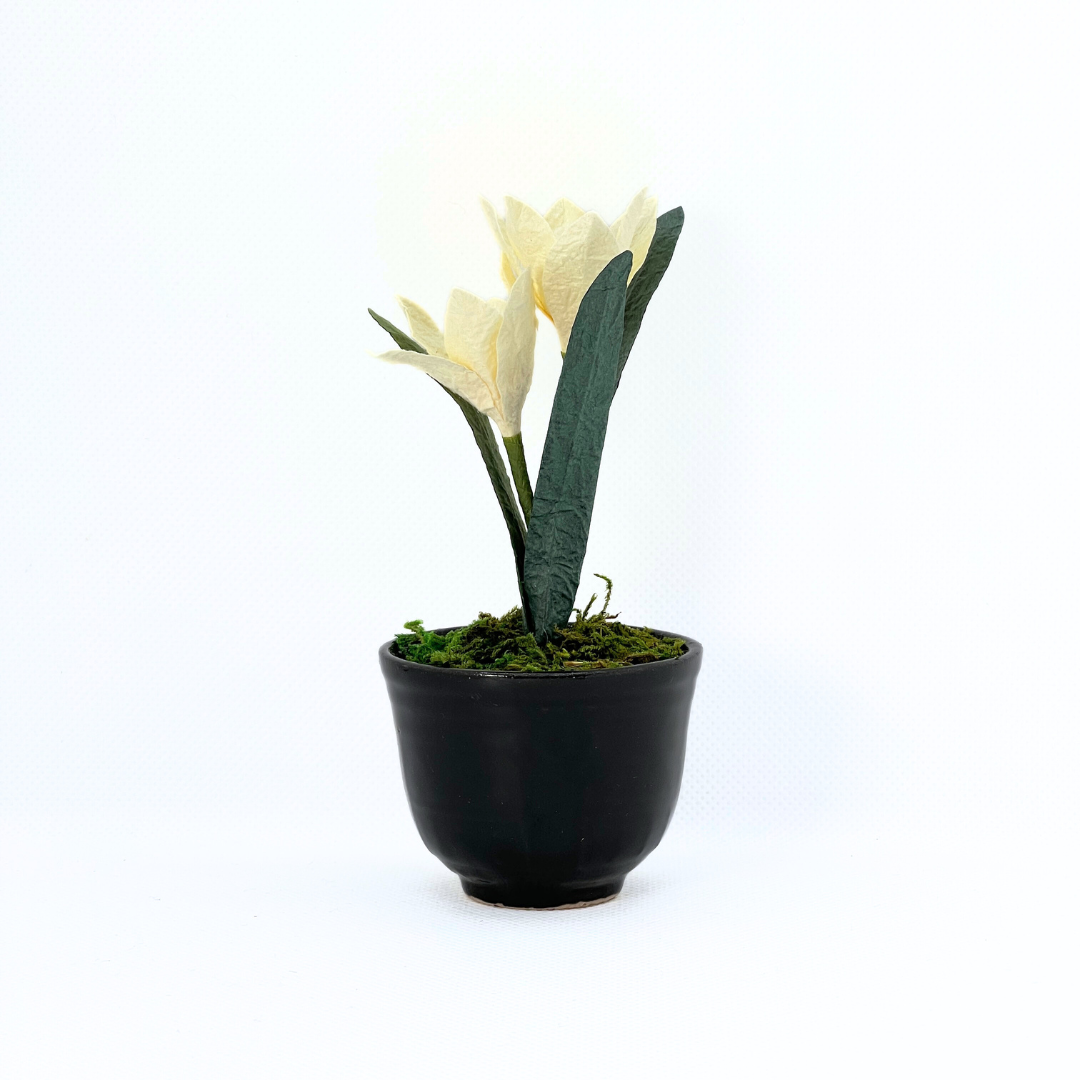 【越前和紙】水仙