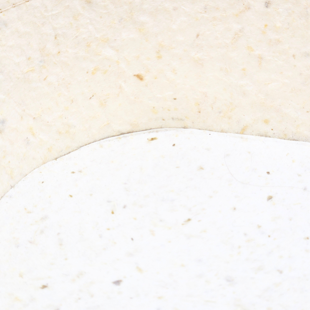 Food Paper -野菜や果物からできた楕円トレイ- キャベツ