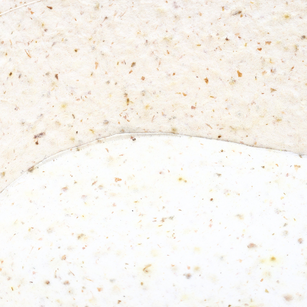 Food Paper -野菜や果物からできた楕円トレイ- いちご