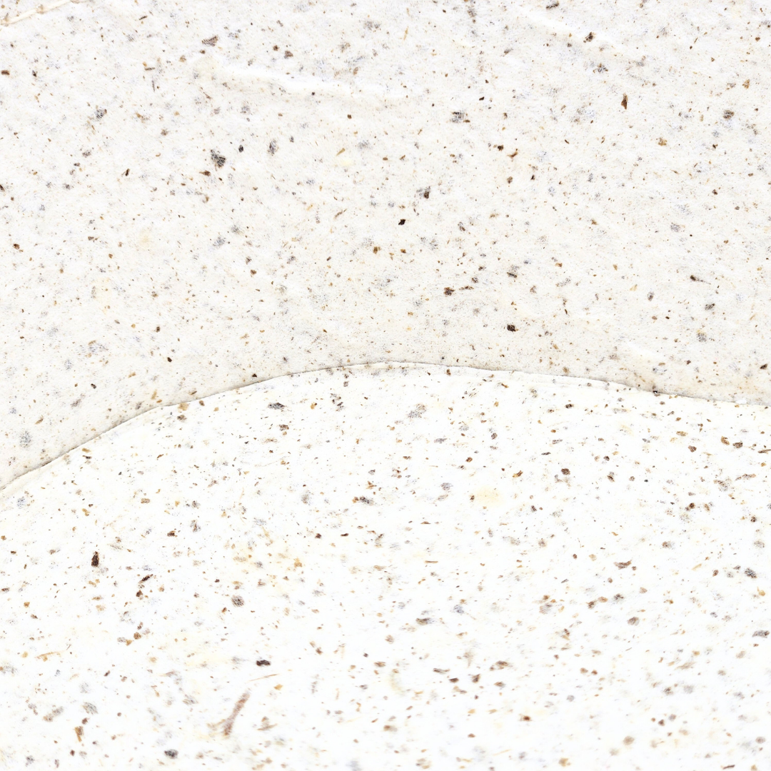 Food Paper -野菜や果物からできた楕円トレイ- ごぼう