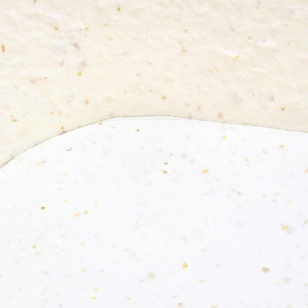 Food Paper -野菜や果物からできた楕円トレイ- みかん