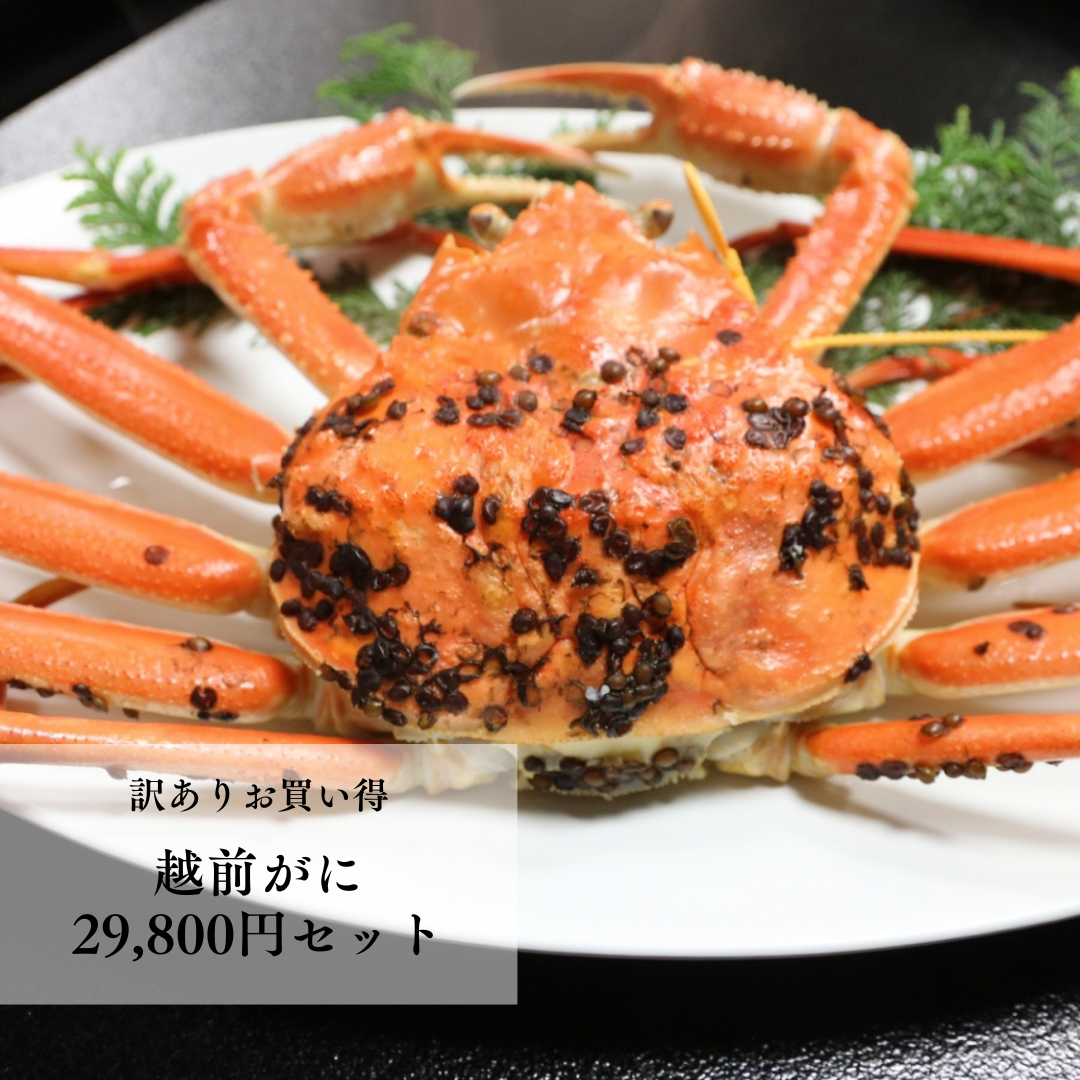 訳ありお買い得 越前がに 29,800円セット