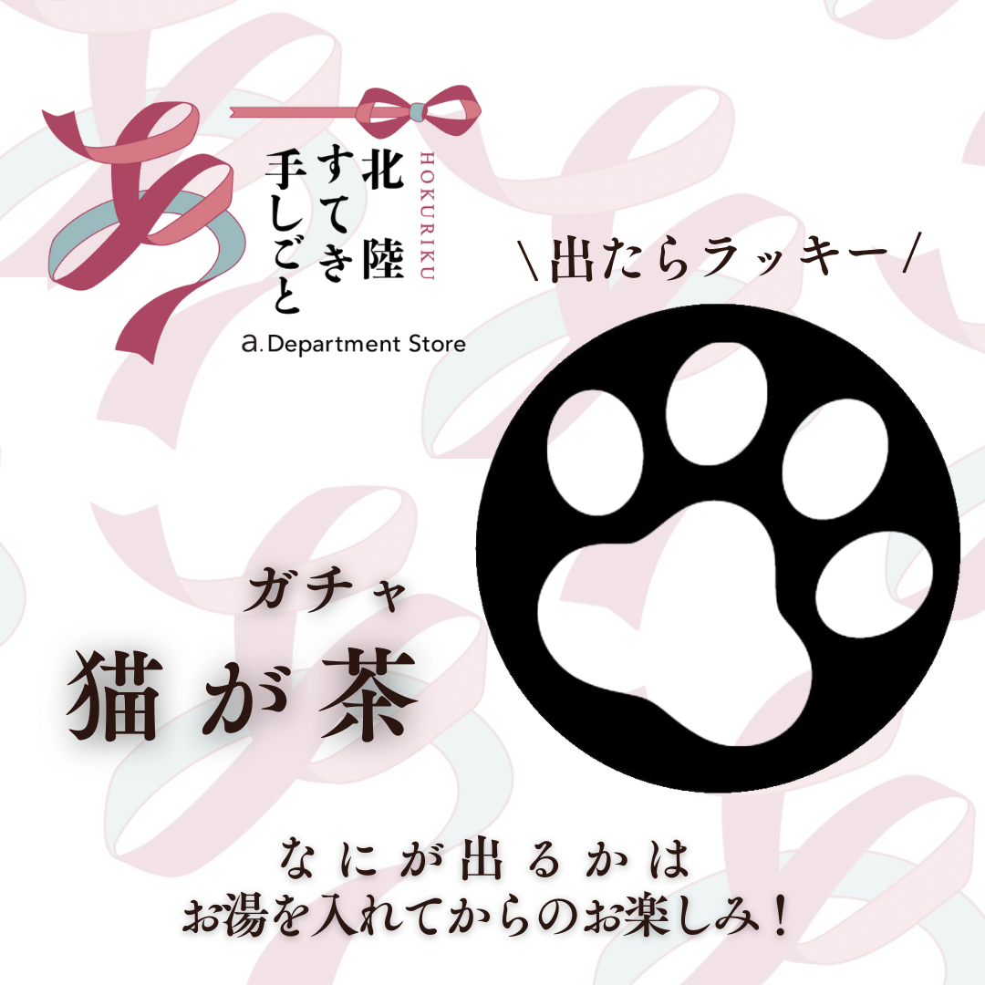 猫が茶3個セット