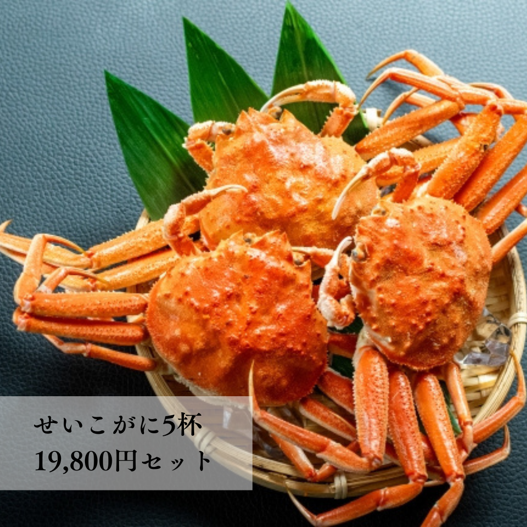せいこがに5杯 19,800円セット