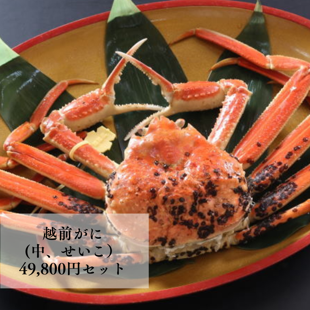 越前がに 49,800円セット