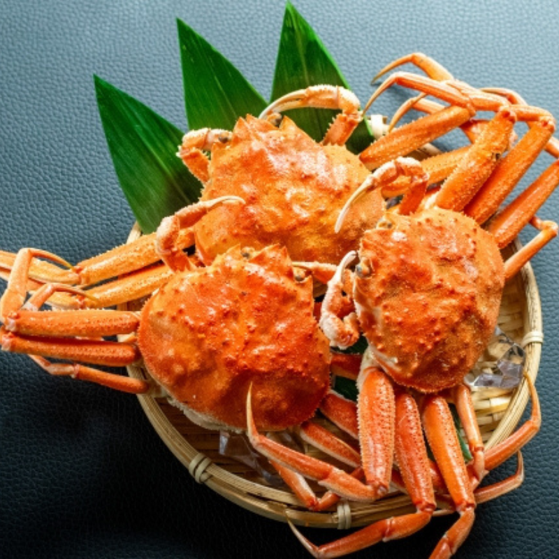 せいこがに5杯 19,800円セット