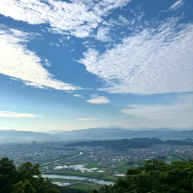 THE BREW SAKE 14% 720ml【yamahai limited】