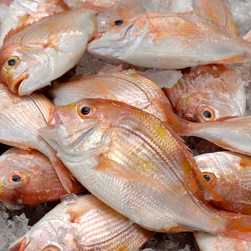 小鯛ささ漬 180g× 2樽入(※別配送)