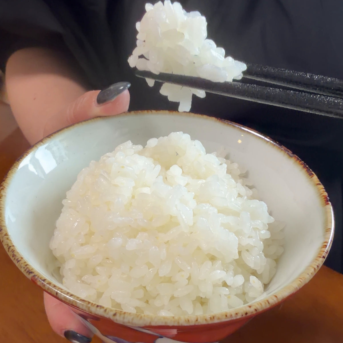 コシヒカリ新米5㎏ 越前白山の恵み