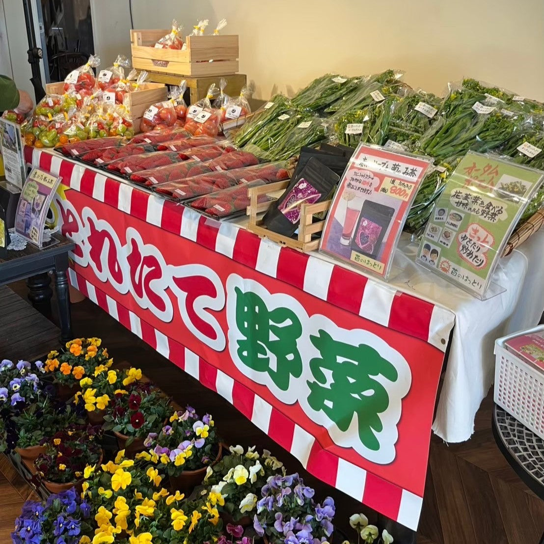 【送料無料】越前旬彩ベジタブルボックス -冬-