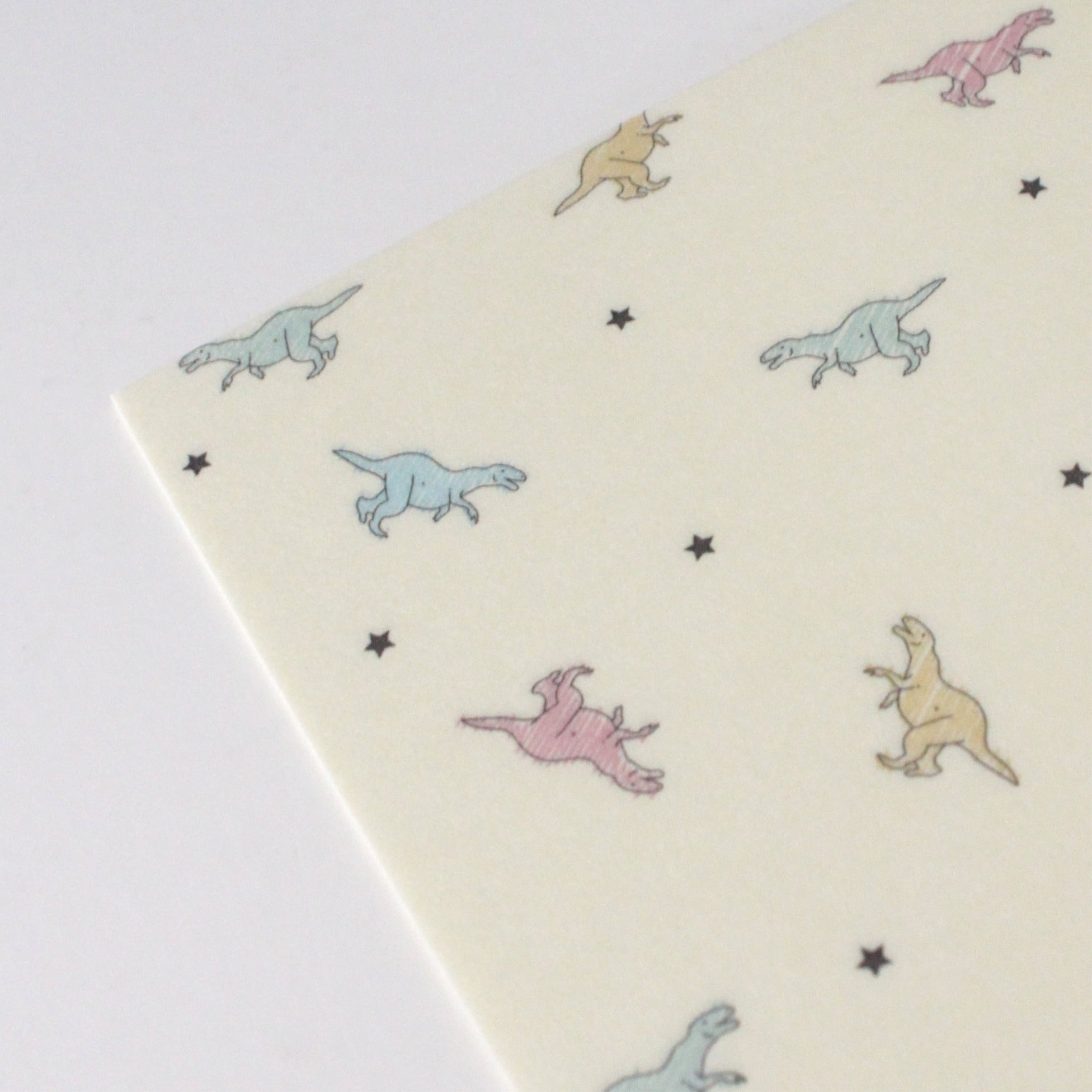 【越前和紙】懐紙 フクイラプトル カラフル