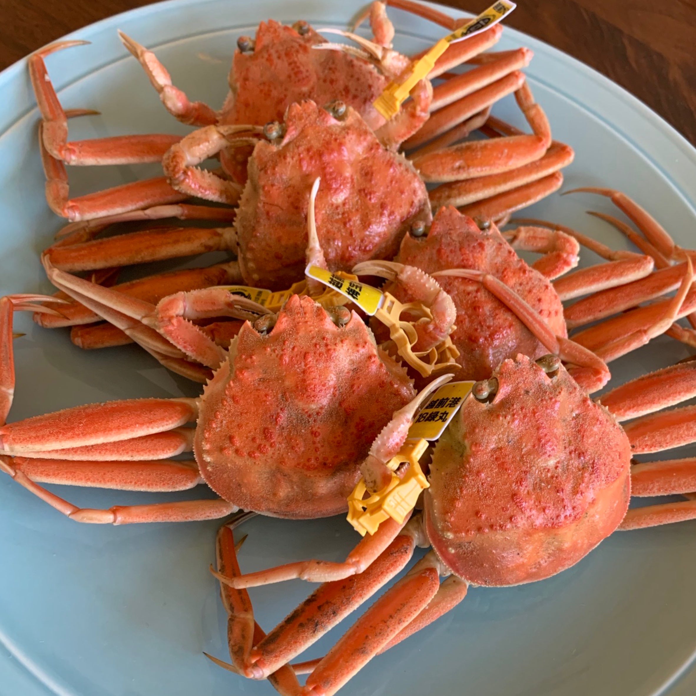 越前がに 49,800円セット