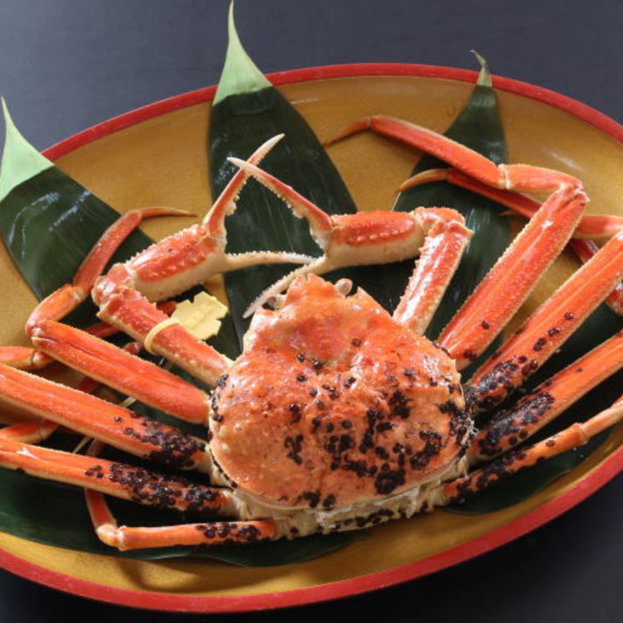 越前がに 49,800円セット