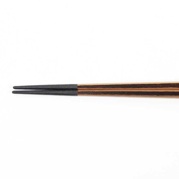 亀甲箸 光線 金