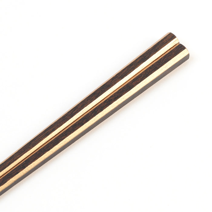 亀甲箸 光線 金