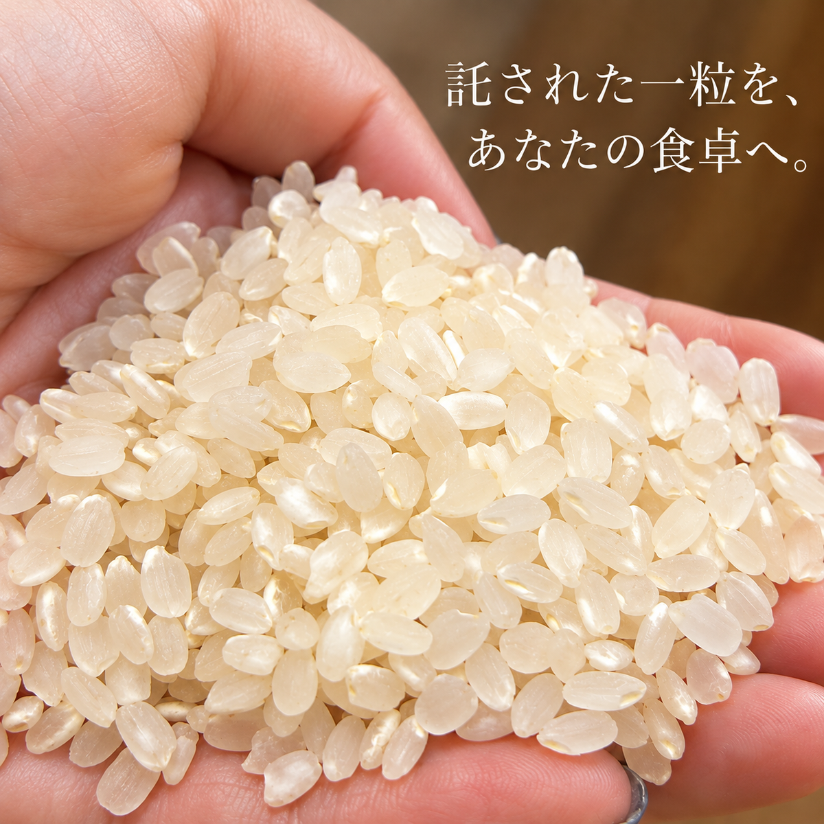 託された一粒を、あなたの食卓へ。