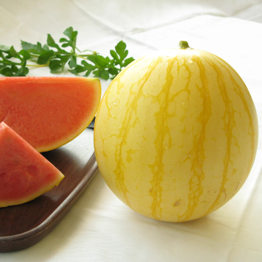 黄金に輝く幸福を願って作られたすいか