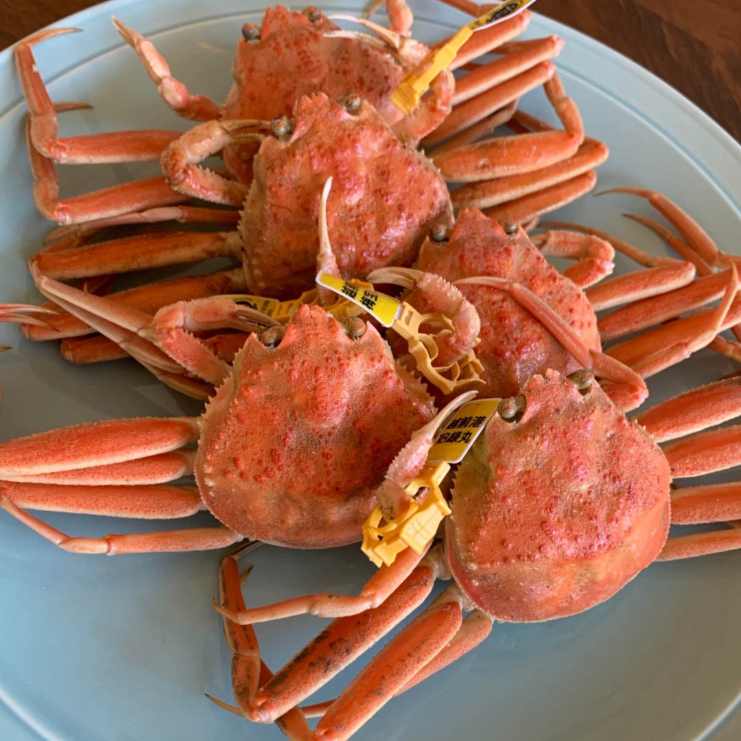 福井県民が愛するせいこがに