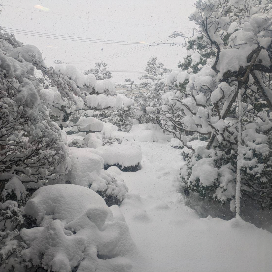 大寒をむかえて