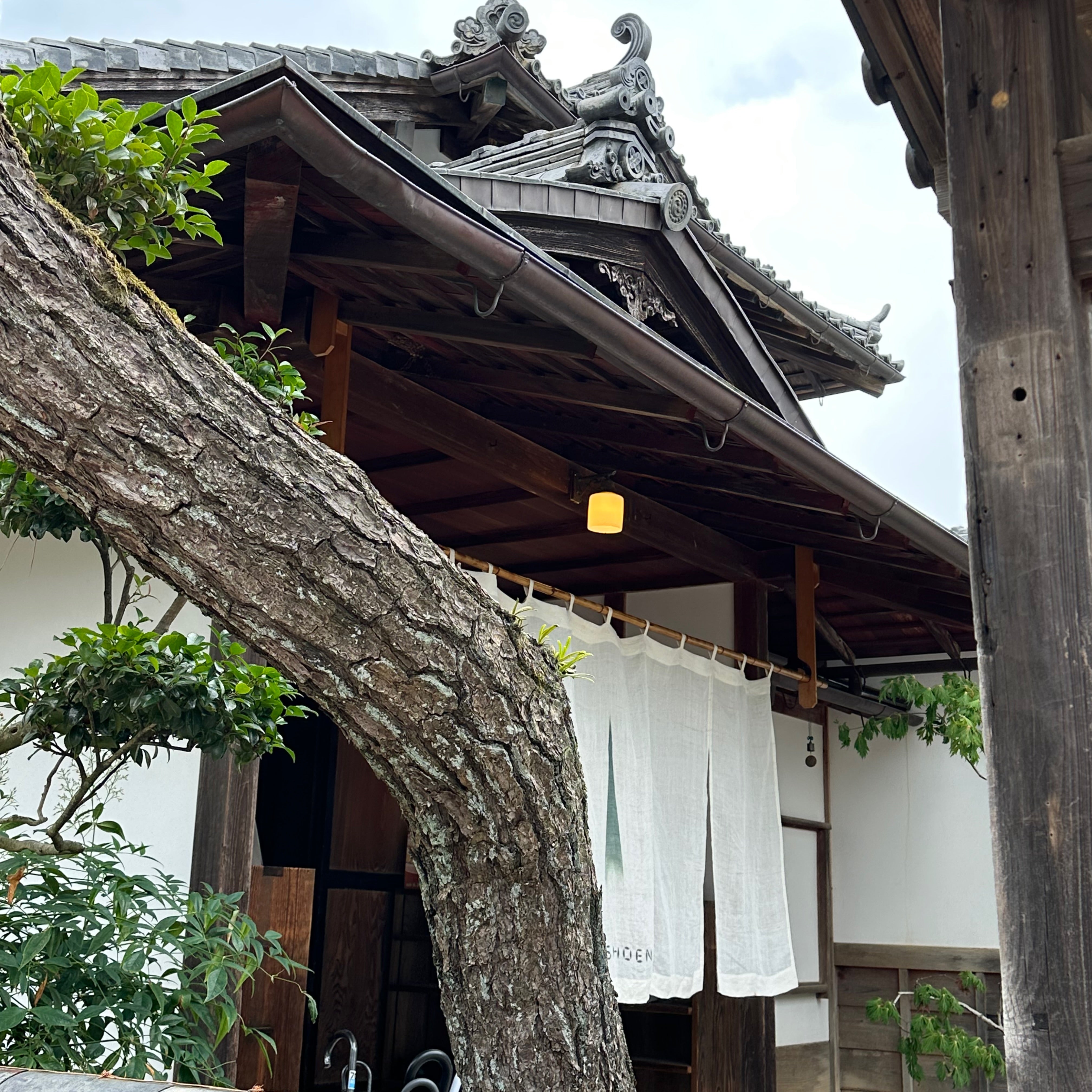 箸の日。8月4日