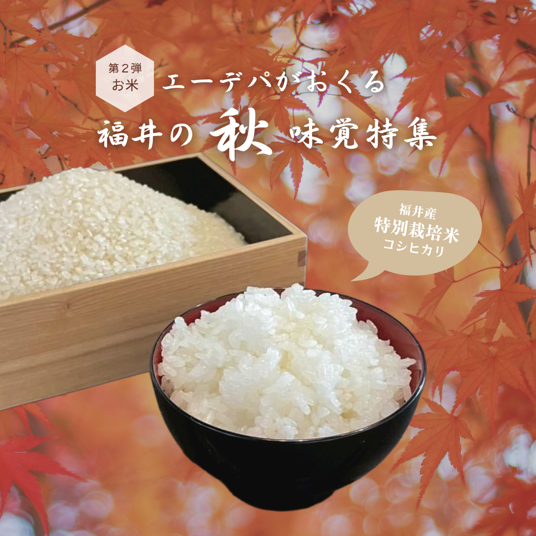 福井の秋の味覚特集 第二弾