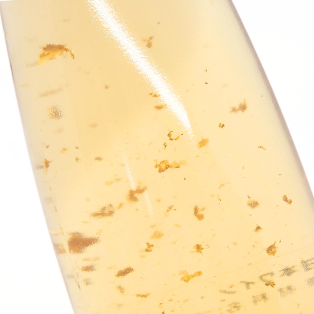 純能登産ワイン「能登の風2024」