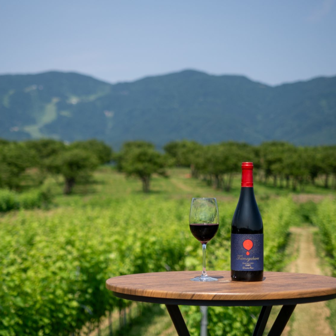 立野原ピノノワール2023レゼルヴ