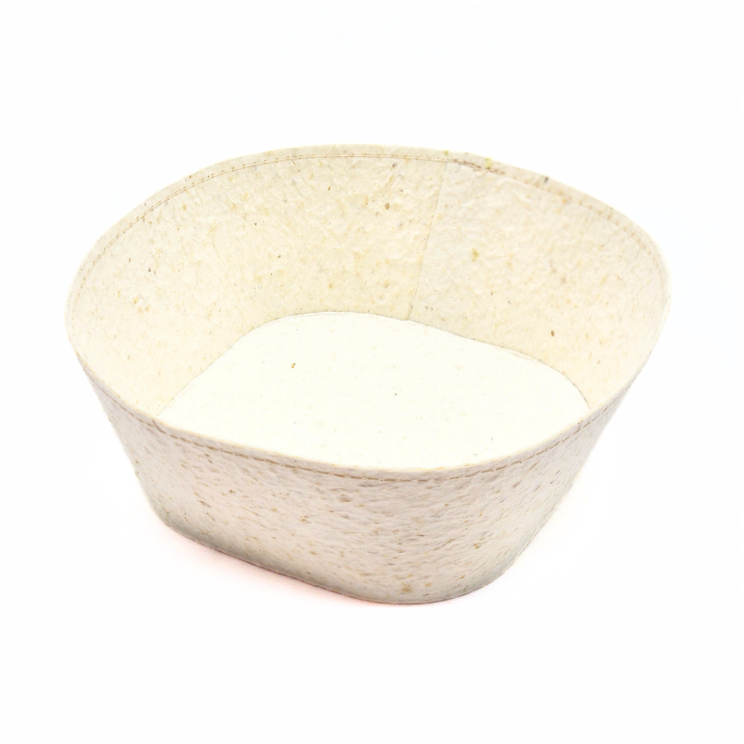 Food Paper -野菜や果物からできた角丸トレイ-　キャベツ