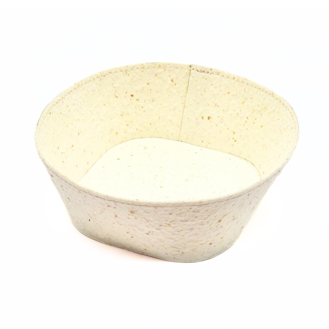 Food Paper -野菜や果物からできた角丸トレイ-　みかん