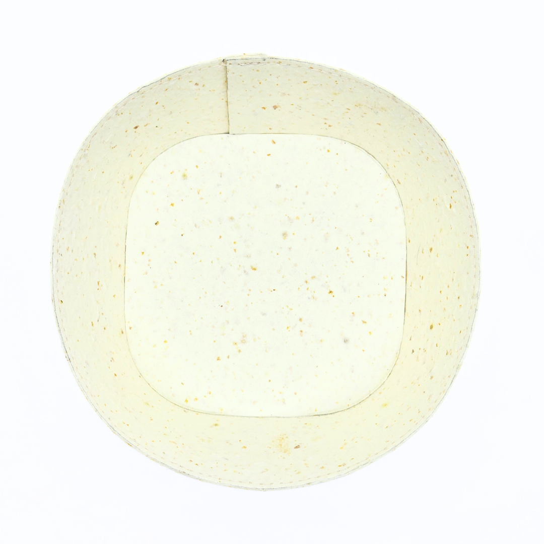 Food Paper -野菜や果物からできた角丸トレイ-　みかん