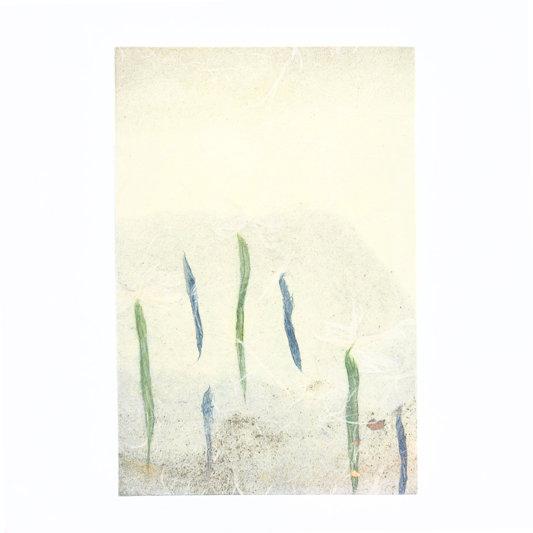 【越前和紙】御朱印帳 森