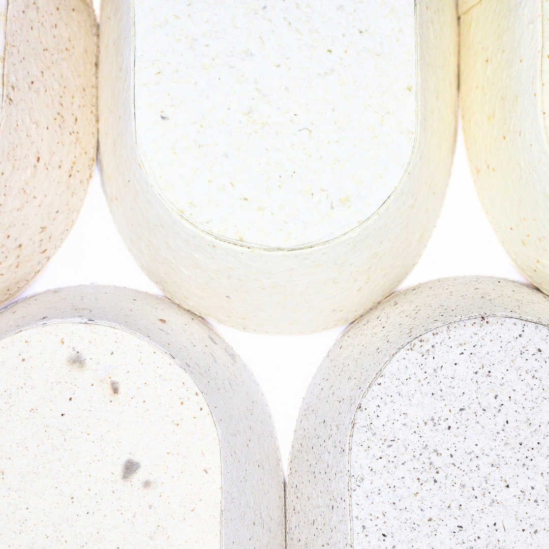 Food Paper -野菜や果物からできた楕円トレイ-　みかん