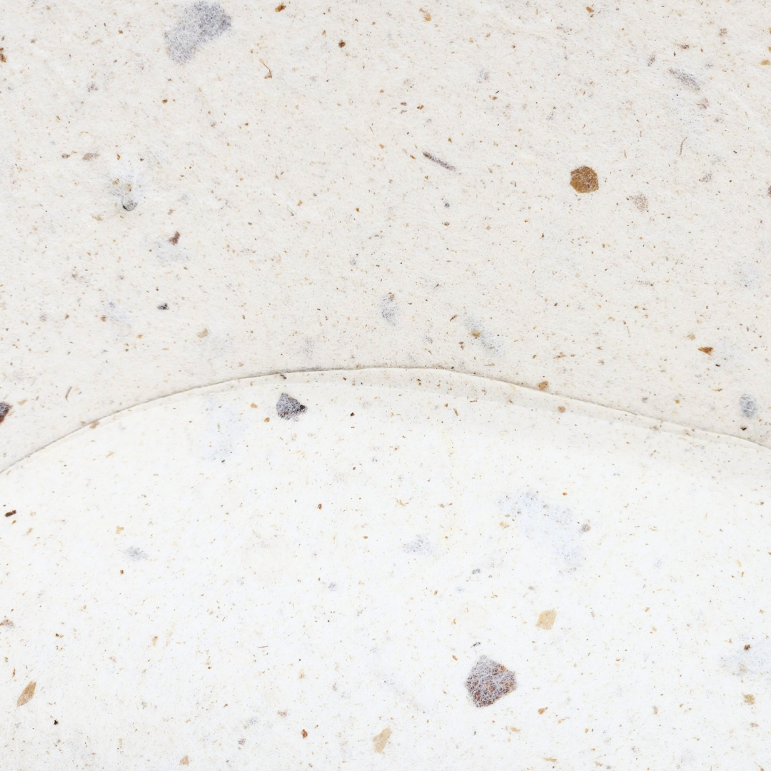 Food Paper -野菜や果物からできた楕円トレイ-　ぶどう