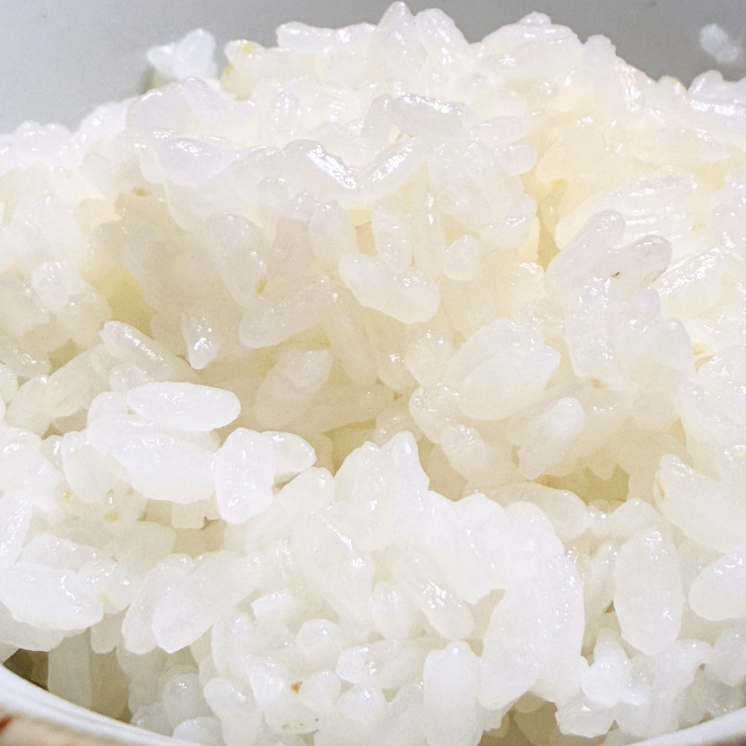 コシヒカリ　10キロ