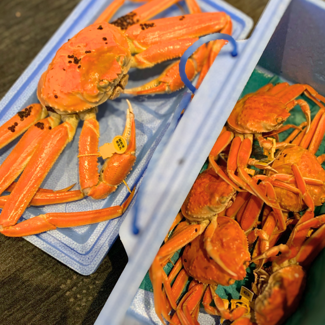 越前名物！旬の水がにセット