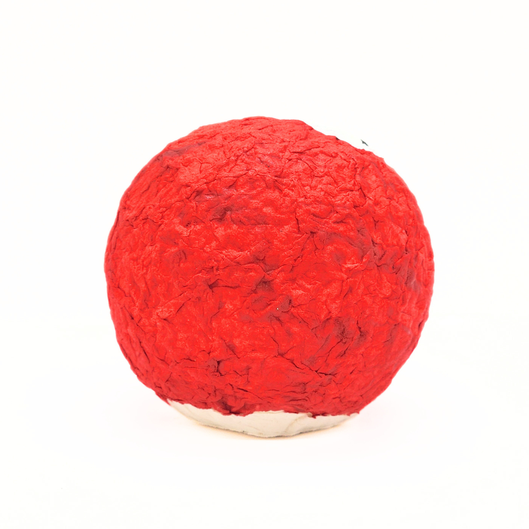 【越前和紙】手漉き和紙おきあがりこぼし　かこさとし「だるまちゃん」